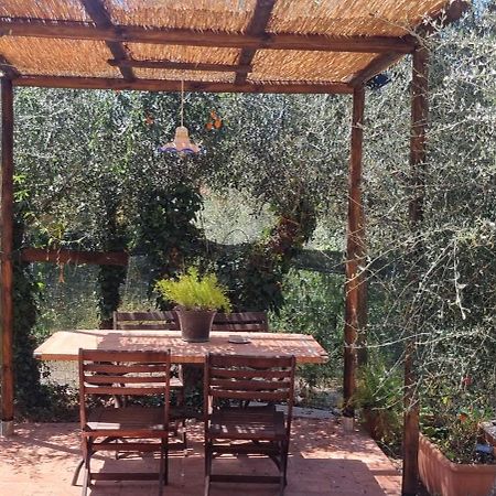 La Merla Del Tasso Camaiore Kültér fotó