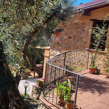 La Merla Del Tasso Camaiore Kültér fotó