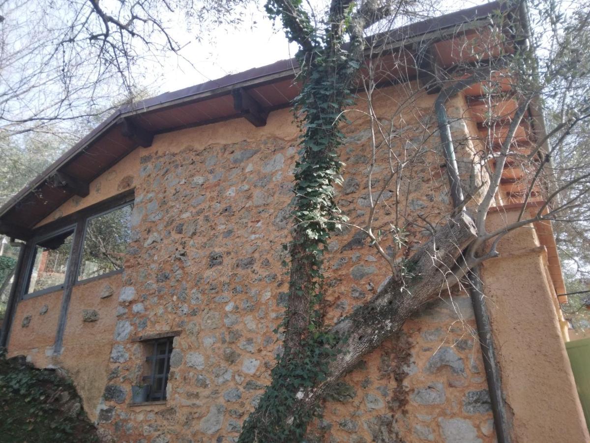 La Merla Del Tasso Camaiore Kültér fotó