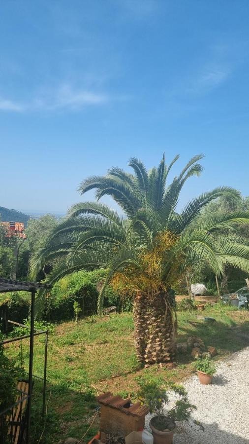La Merla Del Tasso Camaiore Kültér fotó